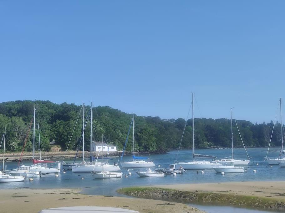 Appartement Nature Et Mer. Moëlan-sur-Mer 외부 사진
